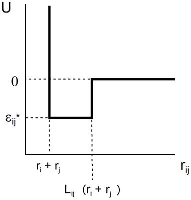 Non-specific Interactions Between Macromolecular Solutes in Concentrated Solution: Physico-Chemical Manifestations and Biochemical Consequences